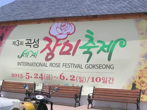 2013년 활동 사진