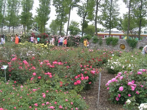 2013년 활동 사진