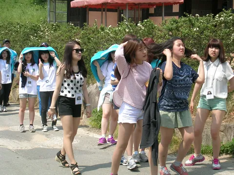 2013년 활동 사진