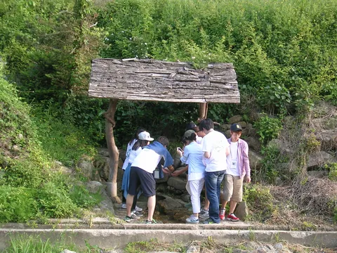 2013년 활동 사진
