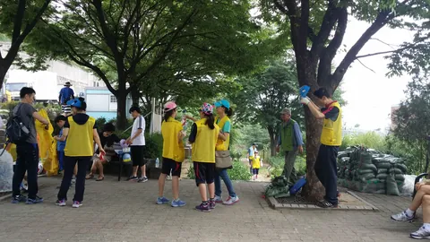 2014년 활동 사진