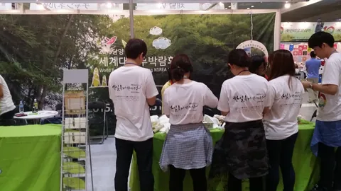 2014년 활동 사진