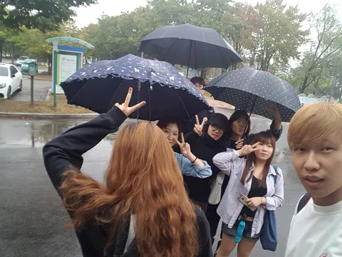 2016년 활동 사진