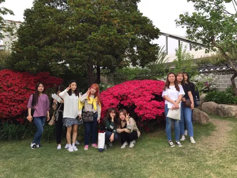 2017년 활동 사진