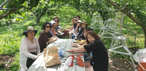 2019년 활동 사진