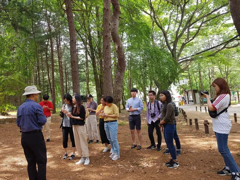 2019년 활동 사진