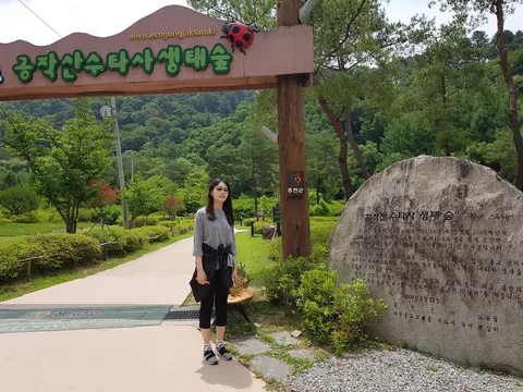 2019년 활동 사진
