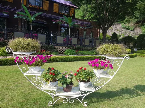 2019년 활동 사진