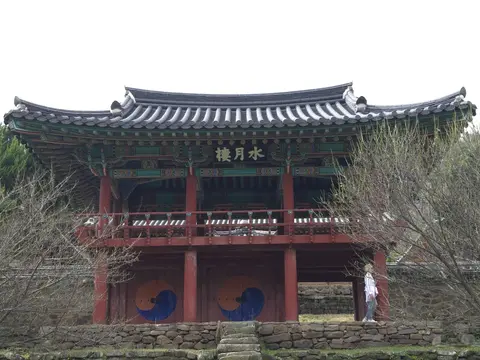 2024년 활동 사진