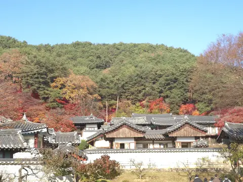 2024년 활동 사진