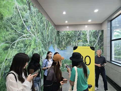 2025년 활동 사진