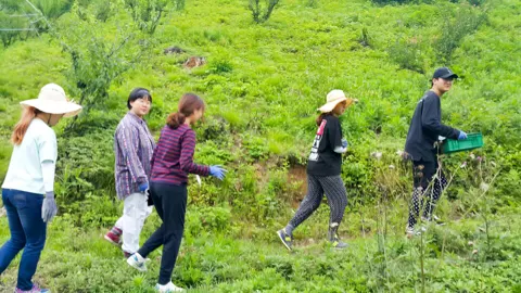 순창군 문화농활 활동 사진