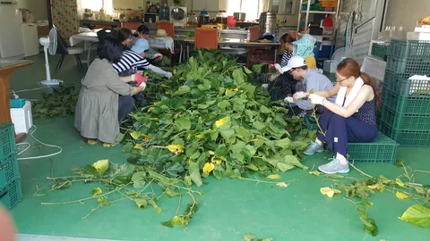 부안군 문화농활 활동 사진