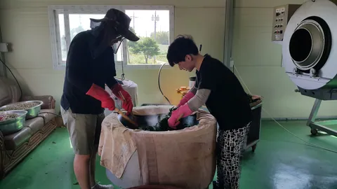 부안군 문화농활 활동 사진